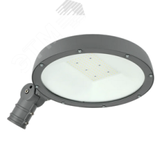 Светильник светодиодный консольный ДКУ Парк 2001-100Д 5000К IP65