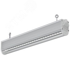 Светильник LIGHTING PRO светодиодный ДСП 7030 20Вт Г30 5000К IP66