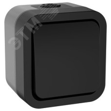 Выключатель двухполюсный одноклавишный TORS 10А IP55 графит