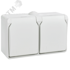 FORS Розетка 2-местная с заземлением для открытой установки 16А IP54 РСб22-3-ФБ белый ФОРС