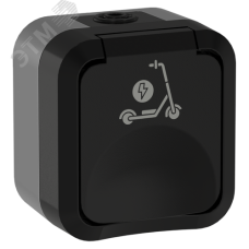 TORS Розетка 1-местная с заземлением защитными шторками и крышкой с иконкой самокат 16А IP55 TS121 графит IEK