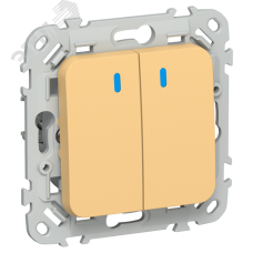 FLITE Выключатель 2-клавишный кнопочный с индикацией 10А ВС12-2-1-ФлЗ золотарник IEK