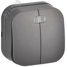 GLORY Выключатель 2-клавишный для открытой установки с индикацией 10А ВС20-2-1-ХСм сталь матовый IEK