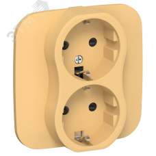 FLITE Розетка 2-местная с заземлением с защитными шторками безвинтовое крепление 16А в сборе РСш12-1-А-ФлЗ золотарник IEK