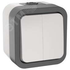 Выключатель двухклавишный TORS 10А IP55 белый