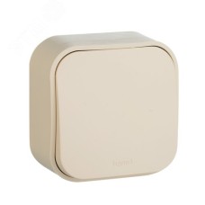 Выключатель 1-клавишный для открытой установки самовозвартный 6А безвинтовое крепление слоновая кость QUTEO