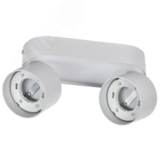 Светильник 4042 настенно-потолочный под лампу 2хGX53 белый