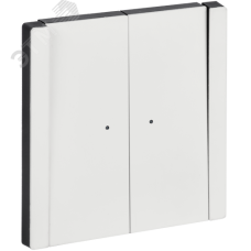 FORTE&PIANO Выключатель 2-клавишный проходной с индикацией 10А FP208M металл белый IEK