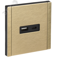FORTE&PIANO Розетка USB A+C 3,1А FP650M металл шампань IEK