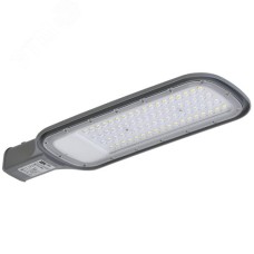 Светильник LED консольный уличный ДКУ 1012-100Ш 5000К IP65 серый