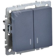 BRITE Выключатель двухклавишный с индикацией 10А ВС10-2-1-БрМ маренго