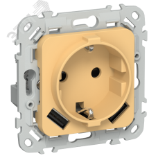 FLITE Розетка 1-местная с заземлением с защитными шторками 16А с USB A+A 3,1А безвинтовое крепление РСЮша11-1-ФлЗ золотарник IEK