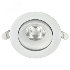 Светильник светодиодный поворотный ДВО 1813 9Вт 4000К IP20 круг белый