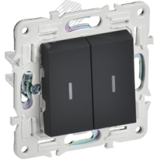 SKANDY Выключатель 2-клавишный проходной с индикацией 10А SK-V10G графит IEK