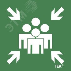 Этикетка самоклеящаяся 150х150 мм ''Место сбора''