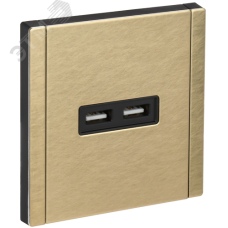 FORTE&PIANO Розетка USB A+A 3,1А FP649M металл шампань IEK