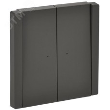 FORTE&PIANO Выключатель 2-клавишный проходной с индикацией 10А FP308 серый IEK