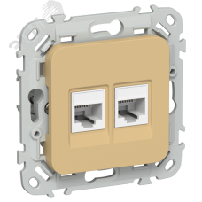 FLITE Розетка 2-местная RJ45/RJ11 категория 5Е/3 UTP РКТ5е/3-2-0-ФлШм шамуа IEK