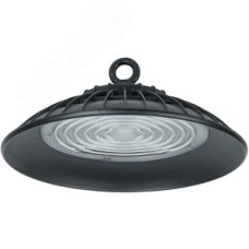 Светильник ДСП 3005 PRO 100Вт 90гр 6500К IP65 алюминий