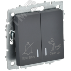 BRITE Выключатель 2-клавишный с индикацией для отелей 10А ВС10-2-9-БрГ графит IEK