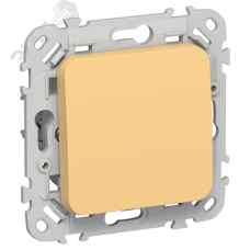 FLITE Выключатель 1-клавишный кнопочный проходной 10А ВС61-2-0-ФлЗ золотарник IEK