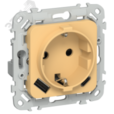 FLITE Розетка 1-местная с заземлением с защитными шторками 16А с USB A+C 20Вт РСЮшс11-0-ФлЗ золотарник IEK