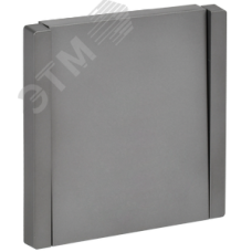 FORTE&PIANO Выключатель 1-клавишный самовозвратный 10А FP510 сталь IEK