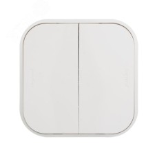 Выключатель 2-клавишный для открытой установки 10А белый QUTEO