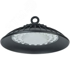 Светильник ДСП 3004 PRO 100Вт 60гр 6500К IP65 алюминий