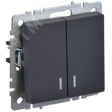 BRITE Выключатель двухклавишный с индикацией 10А ВС10-2-1-БрГ графит