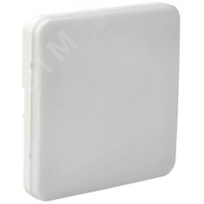 Светильник аварийный ДПА 5000-3 постоянного действия совместим с УДТУ 3 ч IP65 LIGHTING