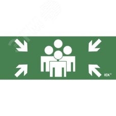 Этикетка самоклеящаяся 240х90 мм ''Место сбора''