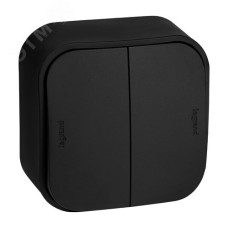 Выключатель 2-клавишный для открытой установки проходной 10А черный матовый QUTEO