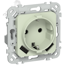 FLITE Розетка 1-местная с заземлением с защитными шторками 16А с USB A+A 3,1А РСЮша11-0-ФлП панг IEK