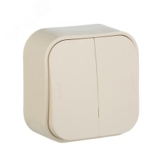 Выключатель 2-клавишный для открытой установки проходной 10А слоновая кость QUTEO