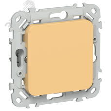 FLITE Заглушка с суппортом ЗГ-ФлЗ золотарник IEK