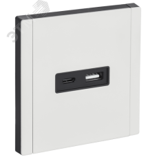 FORTE&PIANO Розетка USB A+C 3,1А FP250M металл белый IEK