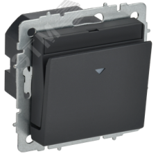 BRITE Выключатель карточный 30А ВС10-1-8-БрГ графит IEK
