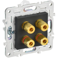 SKANDY Аудиорозетка 4-местная SK-A01G графит IEK