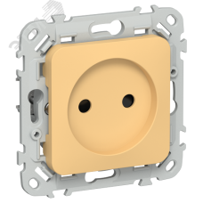 FLITE Розетка без заземления с защитными шторками безвинтовое крепление 10А РСш01-1-ФлЗ золотарник IEK