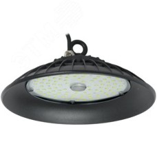 Светильник ДСП 3006 PRO 100Вт 120гр 6500К IP65 алюминий