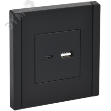 FORTE&PIANO Розетка USB A+C 3,1А FP150 черный IEK