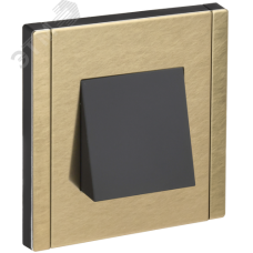 FORTE&PIANO Вывод кабеля FP642M металл шампань IEK